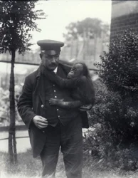 1913年10月、ロンドン動物園で若いオランウータンを抱えるキーパーZ.ロッドウェル
