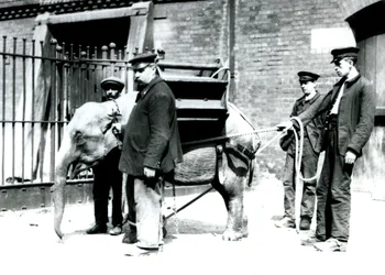 キーパーズジャックミルボーン、Hロバートソン、トーマス、1922年5月、ロンドン動物園で若いアジアゾウを訓練する（bw写真）