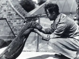 キーパーH.アレックバッドとコモドドラゴンスンバワ、1928