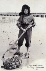 アルカション盆地：牡蠣の水揚げ機 - ポストカード