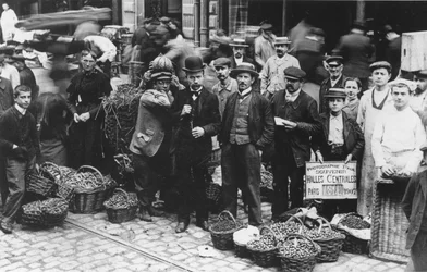 レアールマーケットの庭師、パリ、1907年