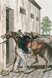 一連のフランス帝国兵士のプレート257、c.1800-10の馬をグルーミングする竜騎兵