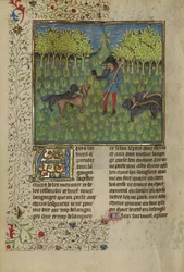 ホーンの呼び声に対応するために犬を訓練するハンター、c.1430-40（テンペラ、金と銀の絵の具、羊皮紙の金箔）