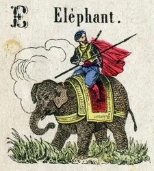 アベコベ。エレファントのようなレターE。小さな百科事典のようなアルファベット、人気シリーズ。エピナル・イメージング 19世紀後半