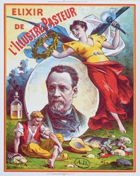 Elixir de lIllustre Pasteurの広告、1900