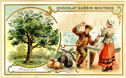 GuérinBoutronチョコレートの広告クロモリトグラフィー（クロモリトグラフ）