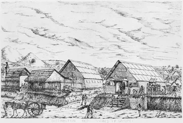 パインズ島のアルバム、物資の配布、1878-79