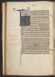 Arundel 84、f.33v、装飾された S のイニシャル (ベラム)
