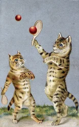 テニスをする猫たち - ポストカード 20世紀初頭
