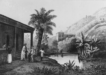 コーヒー農園（Ferdinand DenisとCesar Faminによる1837年の「Bresil, Columbie et Guyanes」より）（彫刻）（白黒写真
