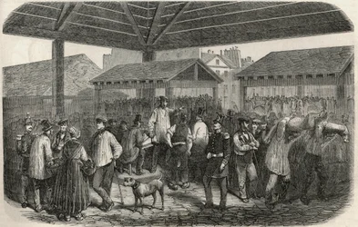 パリ1区プルーヴェール通りの市場でのクリー族の肉屋の肉 - Edmond Texier 1852年の "Tableau-de-Paris "のエングレーヴィング。