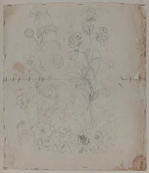 デザイン画、18世紀後半