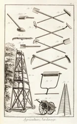 Denis Diderot（1713-84）によるEncyclopedie des Sciences et Metiersのガーデニングツールとモバイルプルーニングプラットフォーム、c.1770公開