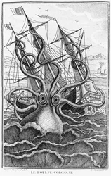 ジャイアントタコ、デニスモンフォールのLHistoire Naturelle Generale et Particuliere des Mollusquesのイラストc。 1802-03