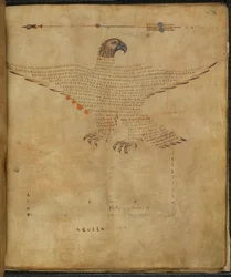 ハーレー 647、f.7 星座「わしのわし」のイラスト、「アラテア、星座図にハイギヌスのアストロノミカからの抜粋を含む」、マーカス・トゥリウス・シセロ作（紙にインクとカラー）