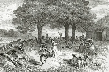 コカの収穫、ペルー、ルトゥールデュモンド誌のイラスト、1877年