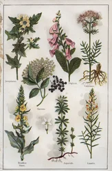 H.M.メニエ博士著 "Mon docteur - Traite de Medecine et d