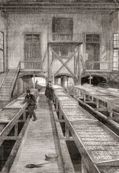 19世紀のフランス、フニンゲの養魚場の内部（1870年頃に出版された『Les Merveilles de la Science』より）（エングレーヴィング