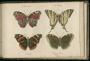 キャンプのレクリエーション、あるいは小さな歴史