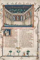Ms 101 fol.5ローマの薔薇