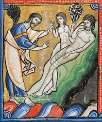 Ms 1 fol.4v アダムの肋骨からのイヴの創造、Souvignyの聖書からの詳細（ベラム