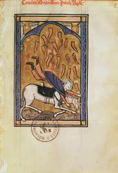 Ms 2689 fol.8r聖エリザベスドジェンリス修道院の詩篇からの聖パウロの回心