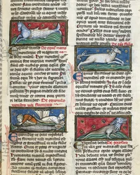 Ms 320 Fol.115r Thomas van Cantimpre (1201-72) の「De Natura rerum」から「海の魔物」（ベラム）。