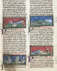 Ms 320 Fol.116 Thomas van Cantimpre (1201-72) の「De Natura rerum」から「海の魔物」（ベラム製）。