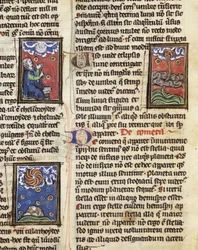 Ms 320 Fol.197 Thomas van Cantimpre (1201-72) の「De Natura rerum」からの彗星 (vellum)