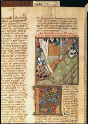 Ms 622 fol.221v Des Hommes Illustresによるbrunhildaの拷問、c.1460