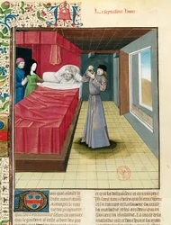 Ms Fr 9140 fol.120v尿検査を行う医師、Livre des Proprietes des Choses、Barthelemy lAnglais、1480