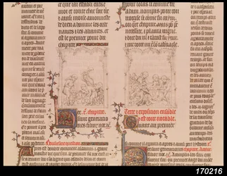 ブドウ畑のノアとノアの酔い、ジャン・シの聖書、1355年頃