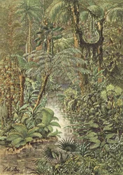 アンティルビアの風景、石炭紀の森林（カラーリトグラフ）