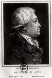 Felix Vicq dAzyr（1748-94）の肖像