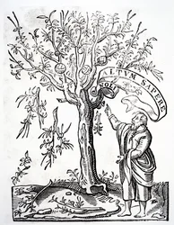 1526年パリのロバートエスティエンヌのプリンターエンブレム