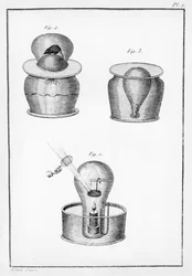 科学実験、物理学、自然史、芸術の観察からのイラスト。ルコンテダルトワ、1789年8月