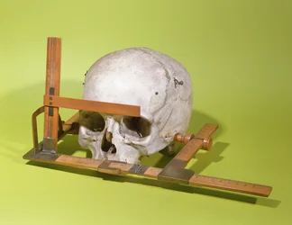 ポールブローカ（1824-88）が作成した顔面ゴニオメーターの頭蓋骨（木と銅）