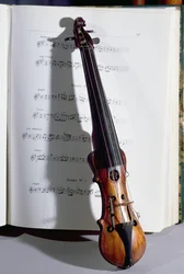 19世紀のダンスマスターの弦楽器（木）