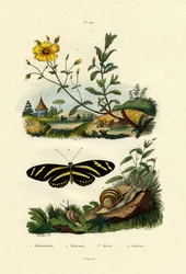 サンローズ、1833-39