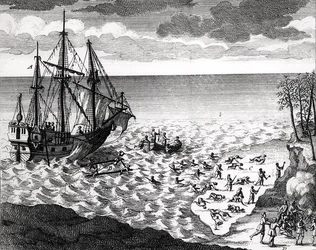 1753年に発表されたバックヴィルデラポセリー（1663-1736）による歴史的歴史の中心地から、海岸近くに沈むペリカン