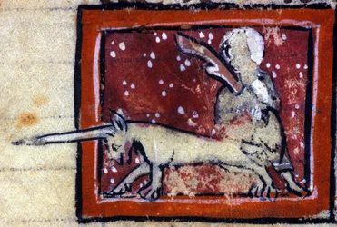 聖母と一角獣（ユニコーン） - 14世紀のフランスの動物寓話集。ミラノ、Biblioteca Trivulziana。