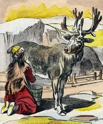 乳を搾られるトナカイ。Buffon Alphabet des Animaux "のエングレーヴィング。3rd Series N 1. Imaging of Epinal, Epinal, late 19th century.16ページ。ディム：28x21cm