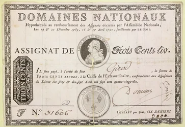300リブル紙幣、1790年（紙にインク）
