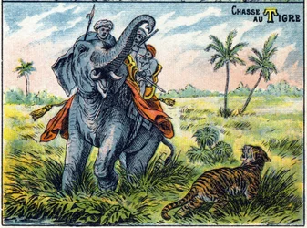 象の背中に乗った虎の狩猟シーン。ハンティングのシラバス文字 エピナルのイメージング