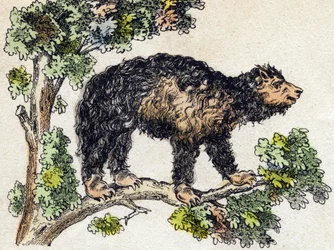 ウナウ（怠け者）。Alphabet des animaux sauvages "に掲載されている版画です。9th Serie.エピナルのイメージ、ペラン、印刷・出版業者、1870年頃。木にステンシルで描かれた版画。16ページ。20×15cm。個人蔵