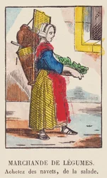 野菜売り。カブを買う、サラダ。