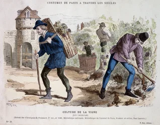 15世紀のブドウ栽培 - "Costume de Paris through the centuries "にて