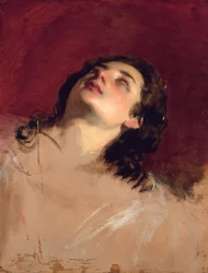 女性の頭の研究