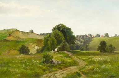 夏の丘陵風景