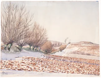 柳の木と雪の中で耕された畑のある風景